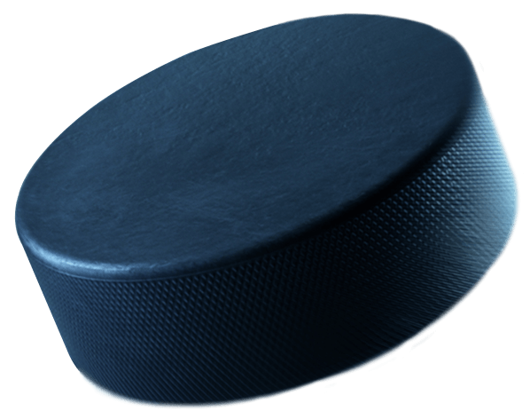 bd-puck